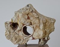 Sin mucha pasión ...